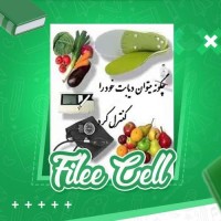 دانلود کتاب چگونه میتوان دیابت خود را کنترل کرد (PDF📁) 24 صفحه