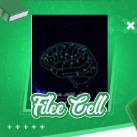دانلود کتاب چالش تضاد سازش علی همایون فر (PDF📁) 69 صفحه