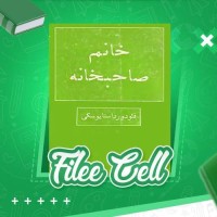دانلود کتاب خانم صاحبخانه فئودور داستایوفسکی (PDF📁) 124 صفحه