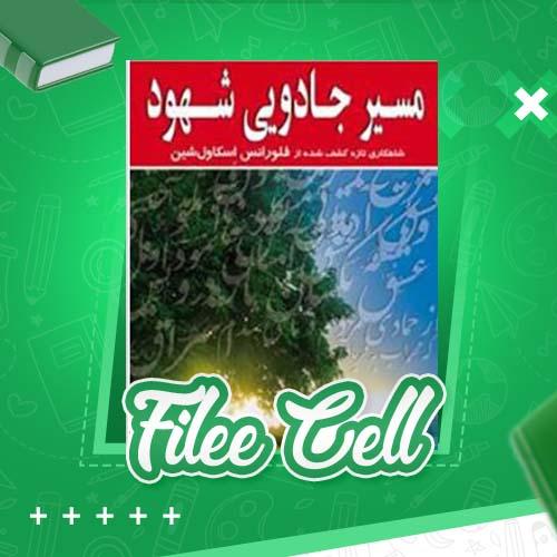 دانلود کتاب مسیر جادویی شهود فلورانس اسکاویل شین (PDF) 30 صفحه
